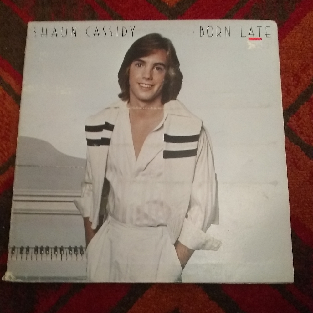 Shaun Cassidy Barn light vinyl record